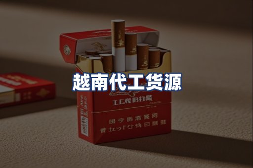 越南代工货源